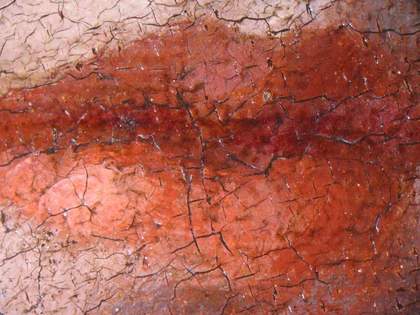 Fig.13 The sitter’s mouth x8 magnification