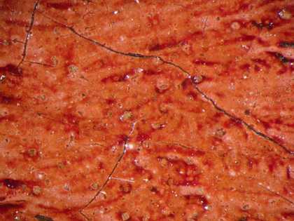 Fig.13 Detail at x20 magnification of lead soap aggregates in the opaque red paint of the sash and traces of the translucent red gaze that would once have enriched the whole area
