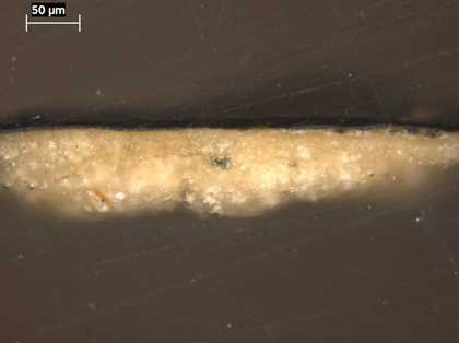 Fig.13 Cross-section through the black skirt, photographed at x225 magnification.