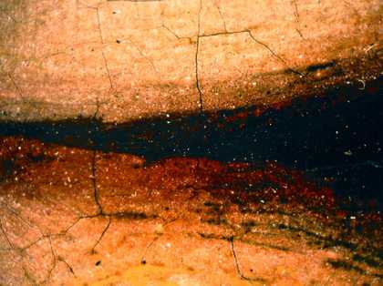 Fig.13 Detail of the shadow between two fingers, photographed at x8 magnification