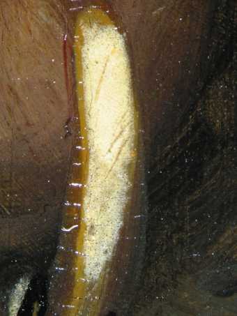 Fig.13 Detail at x10 magnification of the highlight of lead-tin yellow on the gold earring