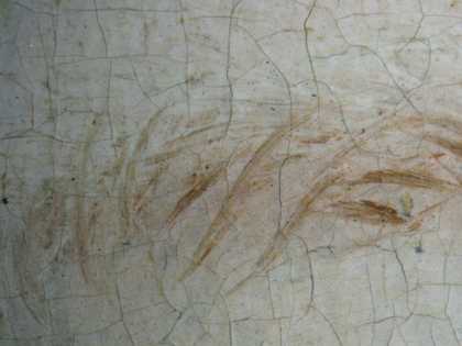 Fig.13 ​​​​​​​Wet-in-wet work in the eyebrow, photographed at x10 magnification