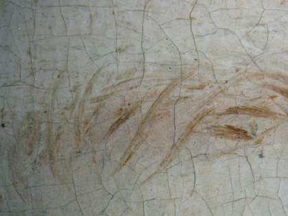 Fig.13 Wet-in-wet work in the eyebrow, photographed at x10 magnification