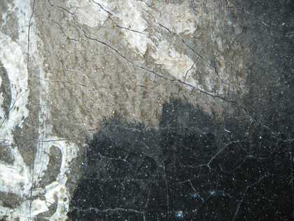 Fig.14 Detail at x8 of two coats of black paint in the costume next to the collar