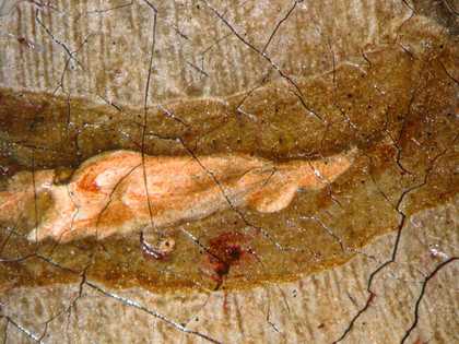 Fig.14 Micrograph showing the paint to create the sparkle on the thumb ring
