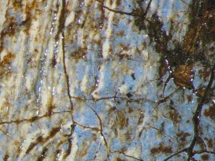 Fig.14 Detail at x20 magnification of ultramarine blue mixed into the white highlight of the helmet