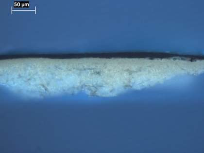 Fig.14 Cross-section through the black skirt, photographed at x225 magnification in ultraviolet light.