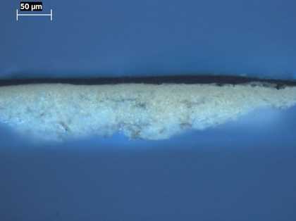Fig.14 Cross-section through the black skirt, photographed at x225 magnification in ultraviolet light.