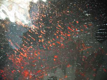 Fig.14 Detail at x8 magnification of the original red costume showing through the final application of black paint