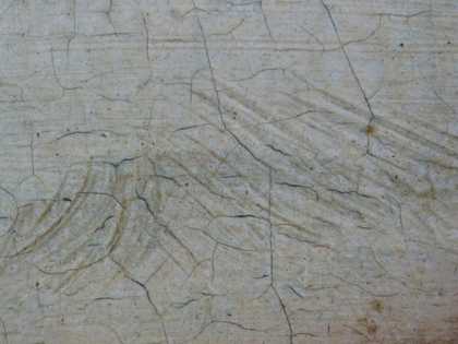 Fig.14 Sgrafitto work in the eyebrow, photographed at x10 magnification