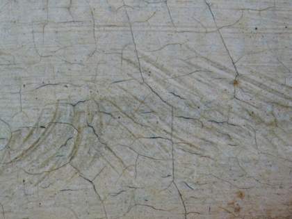 Fig.14 Sgrafitto work in the eyebrow, photographed at x10 magnification