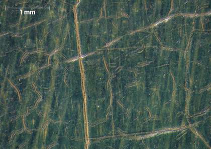 Micrograph showing background blue with distinctive craquelure