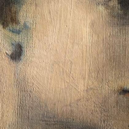 Detail of cheek of Girl in a Chemise c.1905