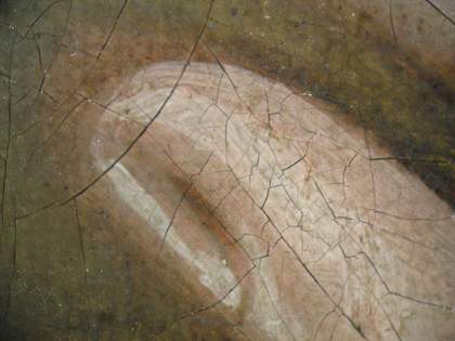 Fig.15 Detail at x8 magnification of a finger tip