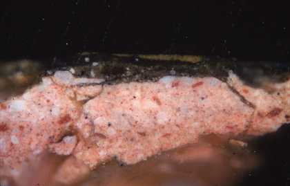 Fig.15 Cross-section though mustard yellow decoration on the suit of armour at the left edge, photographed at x200 magnification. 