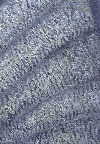 Fig.15 Detail of a sleeve in slightly raking light, to show small detailing applied on top of larger