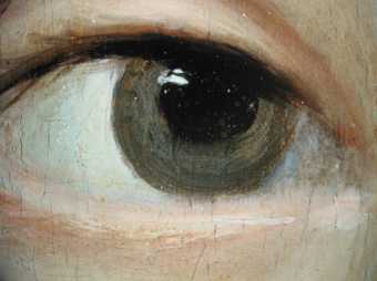 Fig.15 Detail at x8 magnification of the sitter’s right eye