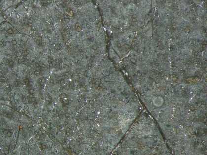 Fig.15 Detail at x12 magnification of the blanched and crazed background paint