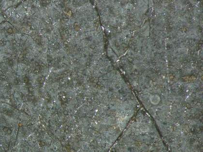 Fig.15 Detail at x12 magnification of the blanched and crazed background paint