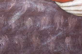 Fig.16 Detail in slightly raking light of the purple blanket