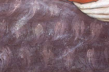 Fig.16 Detail in slightly raking light of the purple blanket
