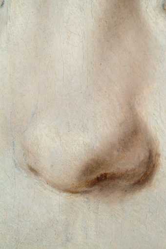  Fig.16 Detail of the sitter’s nose