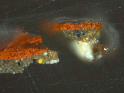 Fig.16 Cross-section through the red curtain at the right edge, photographed at x320 magnification. From the bottom: sliver of pinkish beige priming; opaque dark underpaint; opaque red paint