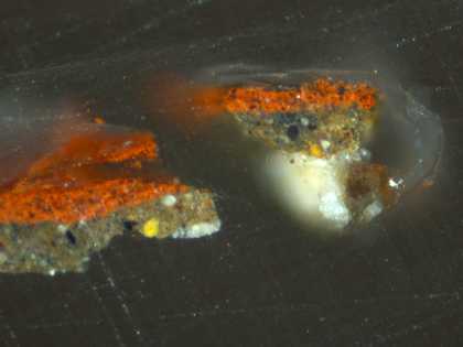 Fig.16 Cross-section through the red curtain at the right edge, photographed at x320 magnification. From the bottom: sliver of pinkish beige priming; opaque dark underpaint; opaque red paint