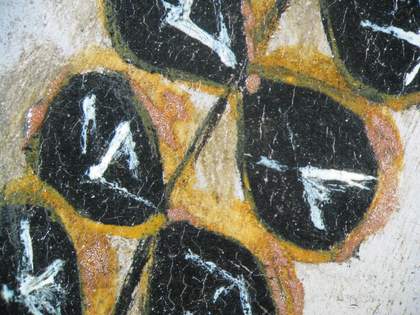Fig.16 Detail of the necklace, photographed at x8 magnification