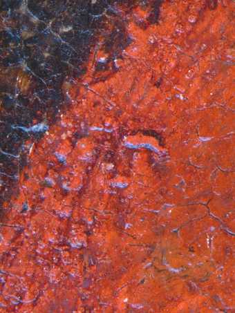 Detail of the boy’s red coat, photographed at x8 magnification, showing unfaded red lake glaze paint in the hollows of the paint film; the glaze has faded in the other areas