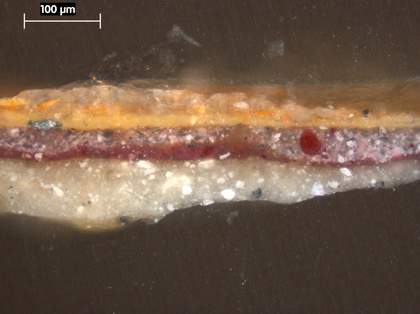Fig.17 Cross-section through the blue lining of the red drapery, photographed at x250 magnification.