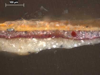 Fig.17 Cross-section through the blue lining of the red drapery, photographed at x250 magnification.