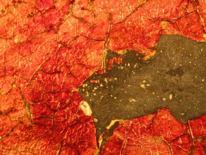 Fig.17 Detail at x8 magnification of the red glaze on top of silver leaf. A sample was taken for analysis from the glaze as it abuts the edge of an old grey filling put in to repair a damage.