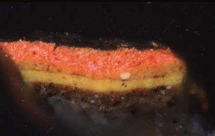 Fig.17 Cross-section though one of the red dots on the skirt of the suit of armour, photographed at x320 magnification.