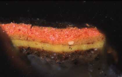 Fig.17 Cross-section though one of the red dots on the skirt of the suit of armour, photographed at x320 magnification.