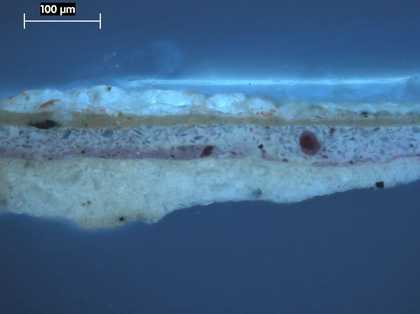 Fig.18 Cross-section through the blue lining of the red drapery, photographed at x250 magnification in ultraviolet light.