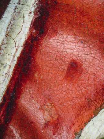 Fig.18 Detail of the red costume, photographed at x10 magnification