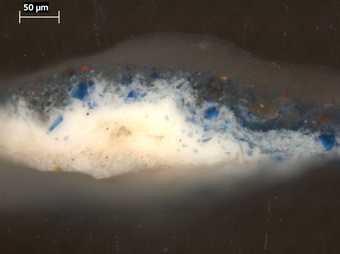 Fig.19 Cross-section through the blue drapery, photographed at x320 magnification. 