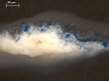 Fig.19 Cross-section through the blue drapery, photographed at x320 magnification.