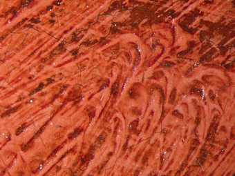 Fig.19 Detail at x8 magnification of the red curtain, showing opaque red paint glazed with translucent red and also dark red