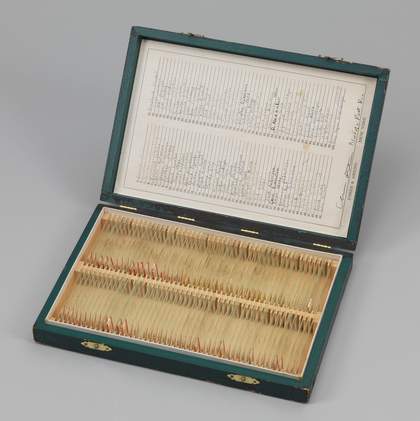 Eleanor Antin, Blood of a Poet Box 1965–8