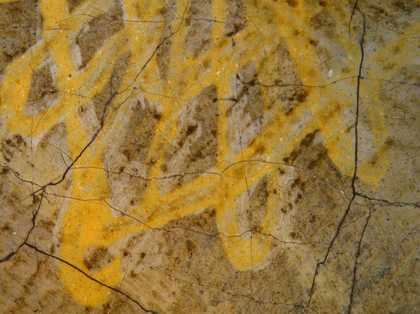Fig.20 Detail at x8 magnification of the yellow lace trim of the veil, showing yellow paint applied on top of white