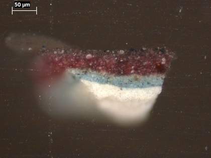 Fig.20 Cross-section through violet coloured drapery, photographed at x320 magnification.