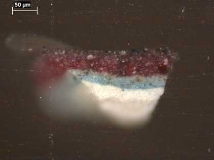 Fig.20 Cross-section through violet coloured drapery, photographed at x320 magnification.