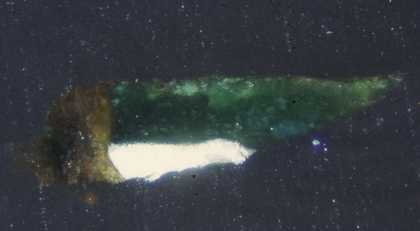 Fig.20 Cross-section through the translucent green glaze paint on a highlight of the green cloak, photographed at x320 magnification