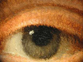 Fig.20 Detail of the sitter’s left eye, showing the hatching technique