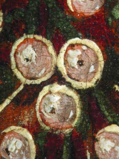 Fig.20 Pearls on the jewel hanging from the ribbon around her neck, photographed at x10 magnification