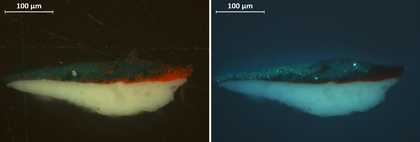 Cross-section showing red and green paint from the darker beads in visible light (vis) and ultraviolet light (uv)