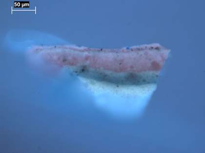 Fig.21 Cross-section through violet coloured drapery, photographed at x320 magnification in ultraviolet light.