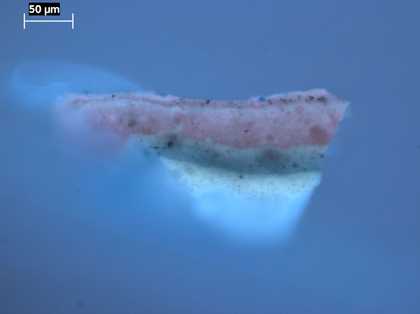 Fig.21 Cross-section through violet coloured drapery, photographed at x320 magnification in ultraviolet light. 